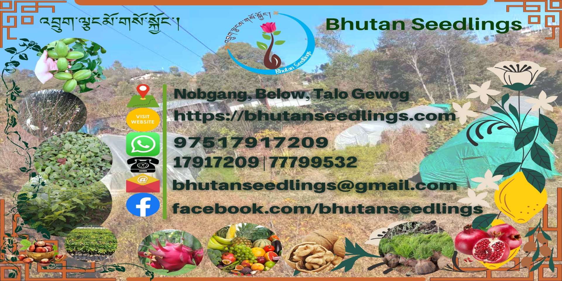 Bhutan Seedlings- Plant Nursery Farm In Bhutan